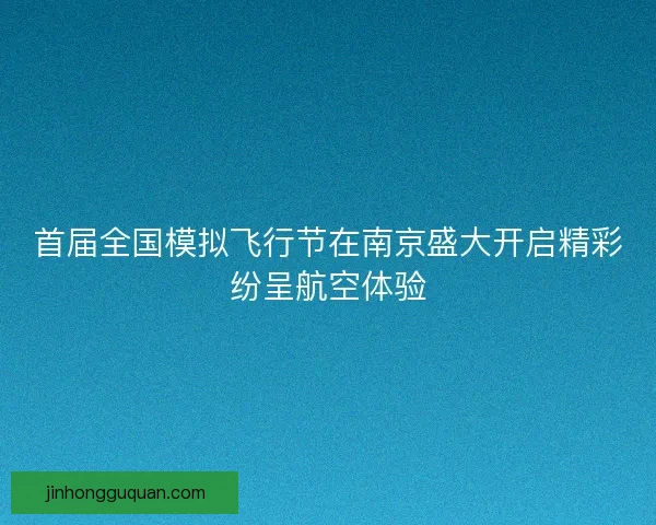 首届全国模拟飞行节在南京盛大开启精彩纷呈航空体验